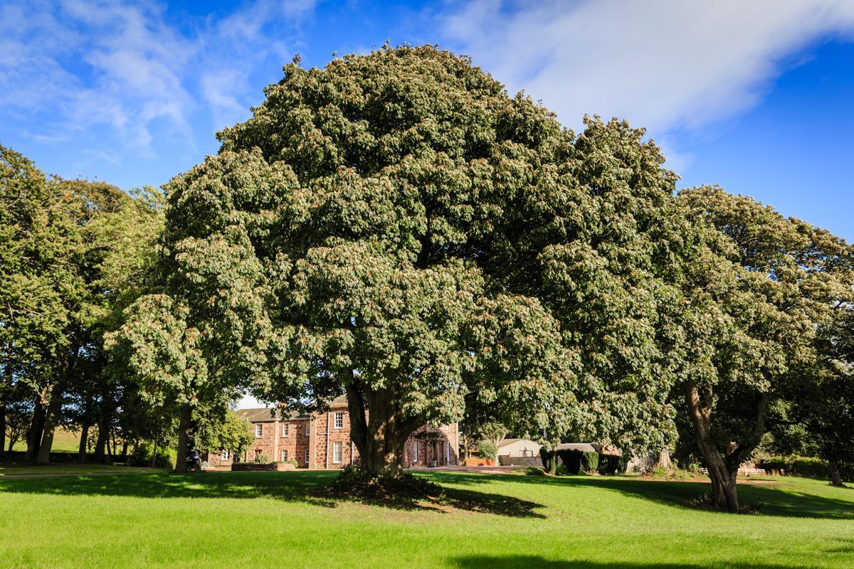 Lunan House Ξενοδοχείο Arbroath Εξωτερικό φωτογραφία